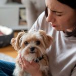 Pourquoi mon chien pigne sans cesse : comprendre et résoudre le problème