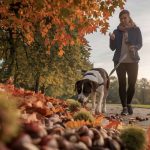 Si votre chien mange des marrons ou des glands en promenade, emmenez-le d’urgence chez le vétérinaire, c’est une intoxication grave