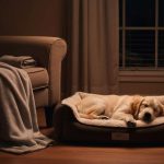Le secret d'une première nuit réussie avec un chiot, sans pleurs ni angoisse