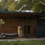 Idées de chenil pour chien : guide complet 2026